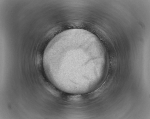 X0000111360132200908071201