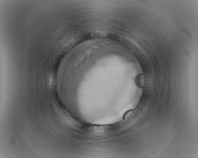 X0000111360134200908071201