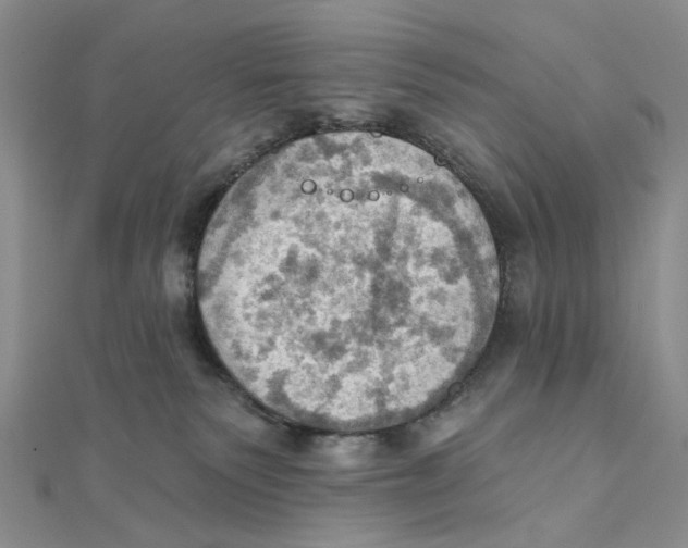 X0000111360135200908071201