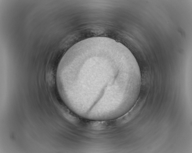 X0000111360136200908071201