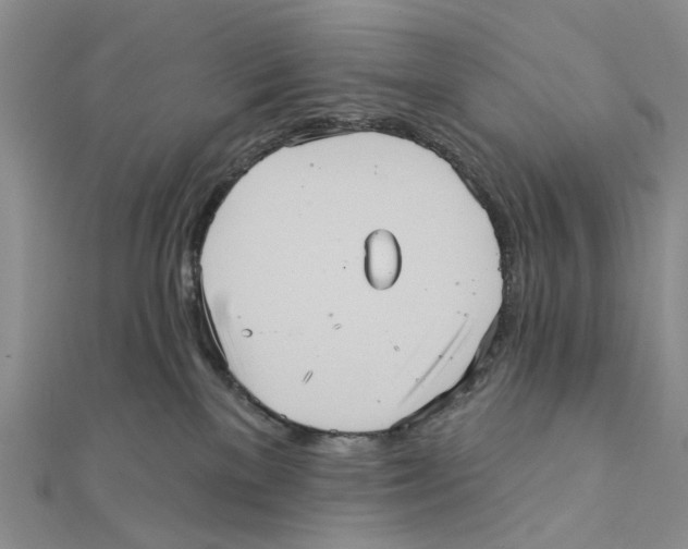 X0000111360137200908071201