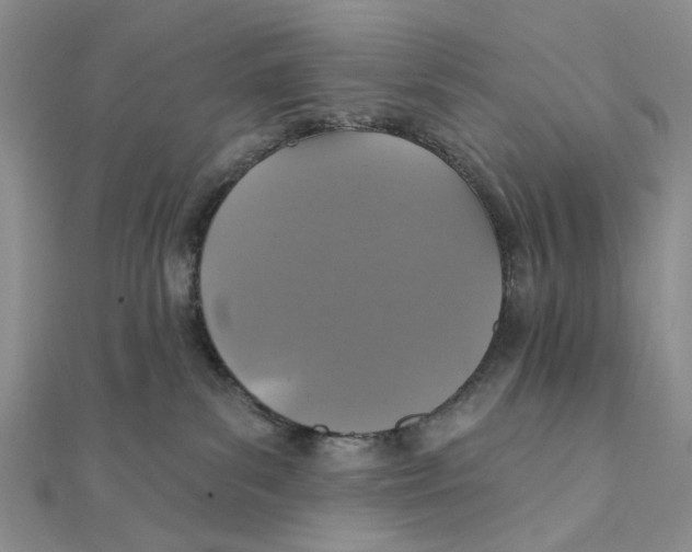 X0000111360139200908071201