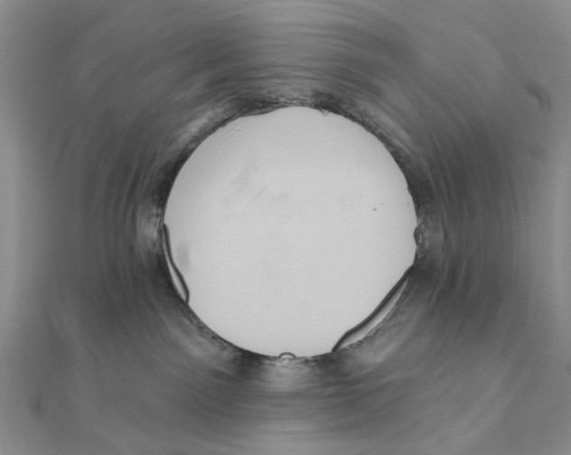 X0000111360141200908071201