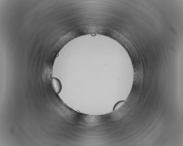 X0000111360142200908071201