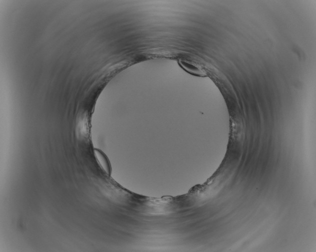 X0000111360143200908071201