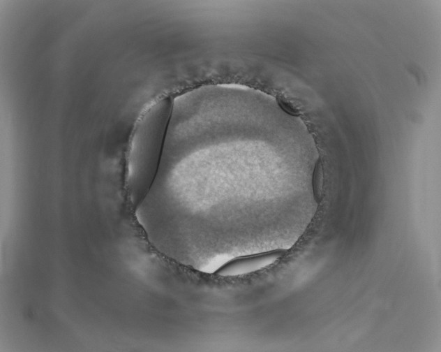 X0000111360144200908071200