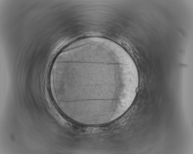 X0000111360145200908071200