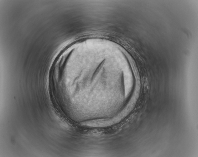 X0000111360148200908071200