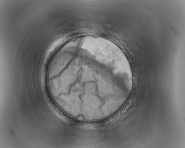 X0000111360149200908071200