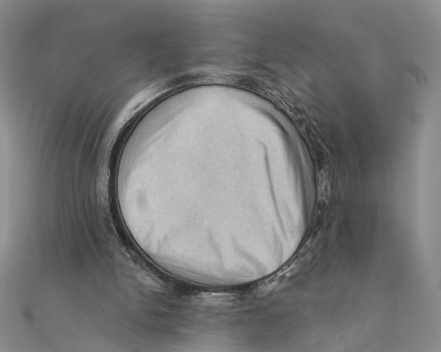 X0000111360150200908071200