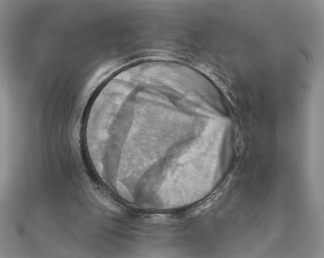 X0000111360151200908071200