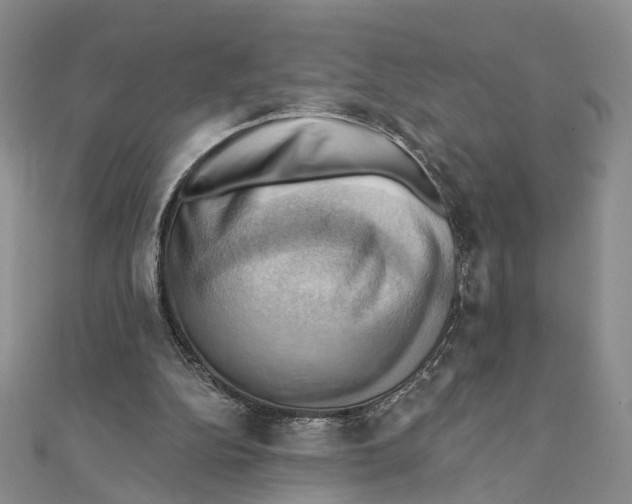 X0000111360152200908071200