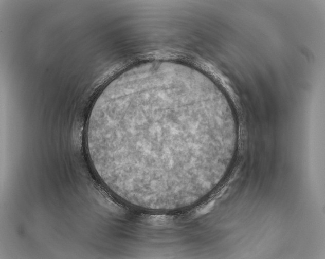 X0000111360153200908071200