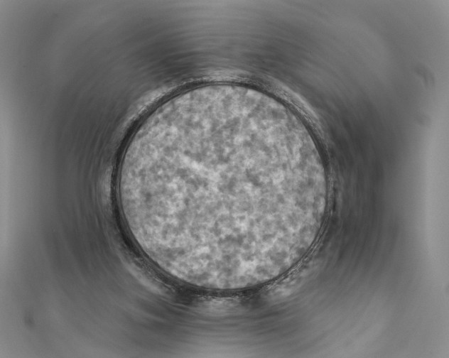 X0000111360155200908071200