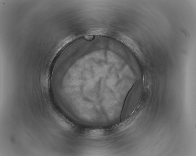 X0000111360156200908071200