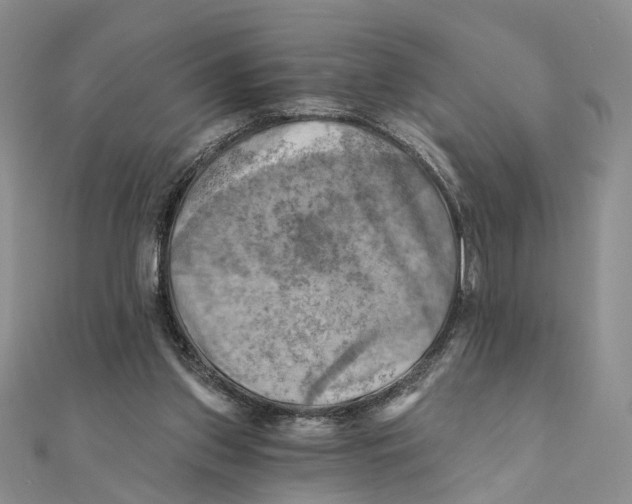 X0000111360157200908071200