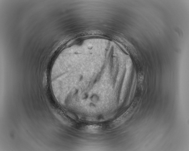 X0000111360158200908071200