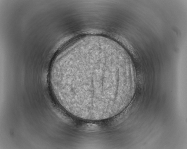 X0000111360159200908071200