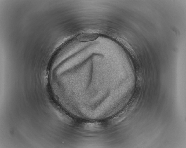 X0000111360160200908071200