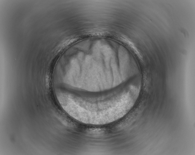 X0000111360161200908071200