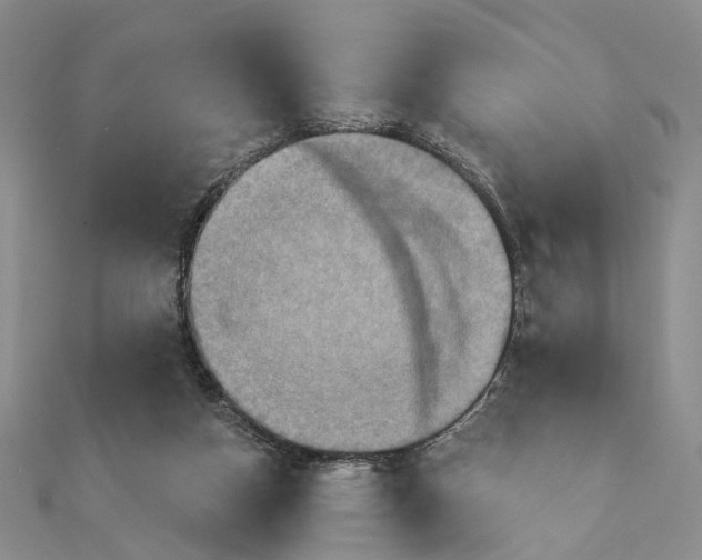 X0000111360162200908071200