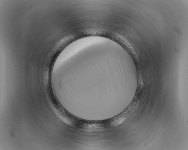 X0000111360163200908071200