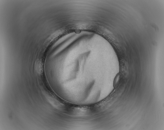 X0000111360164200908071200