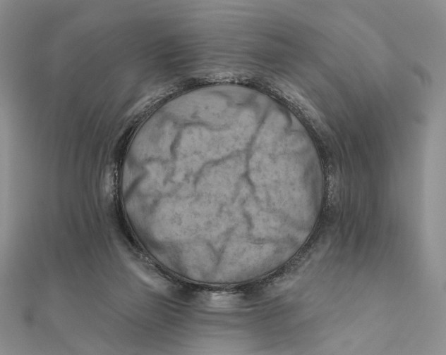 X0000111360165200908071200