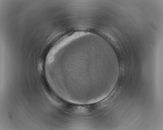 X0000111360166200908071200