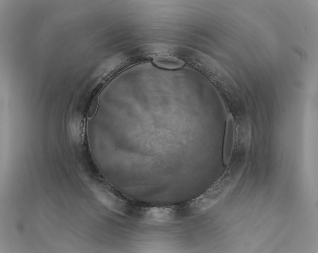 X0000111360168200908071200