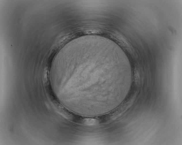 X0000111360169200908071200