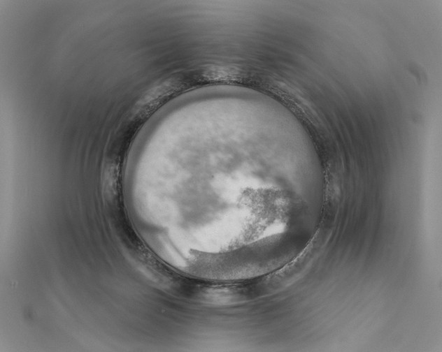 X0000111360171200908071200