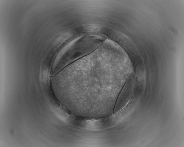 X0000111360172200908071200