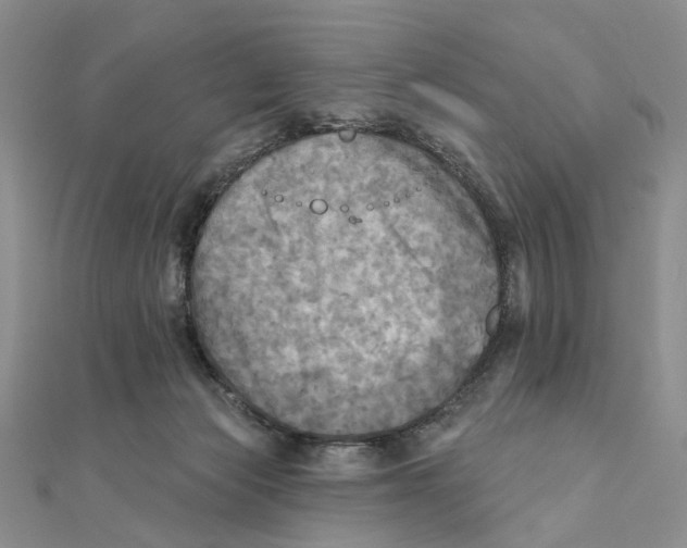 X0000111360173200908071200