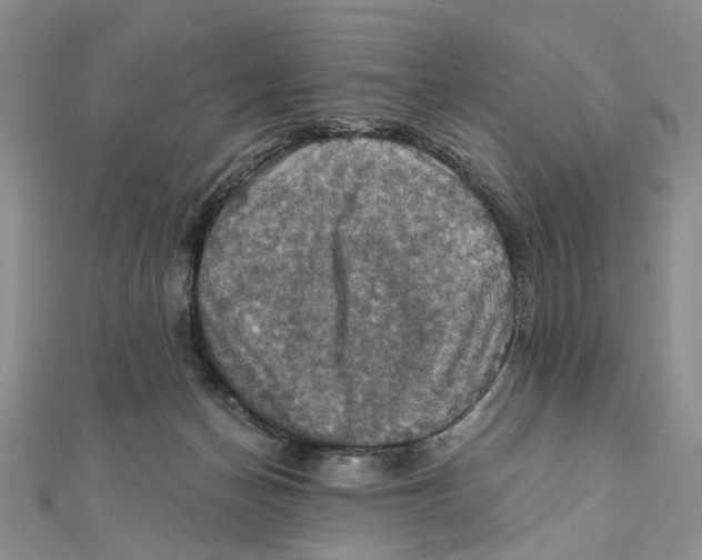 X0000111360174200908071200