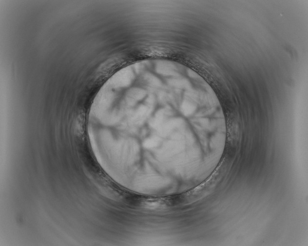 X0000111360175200908071200