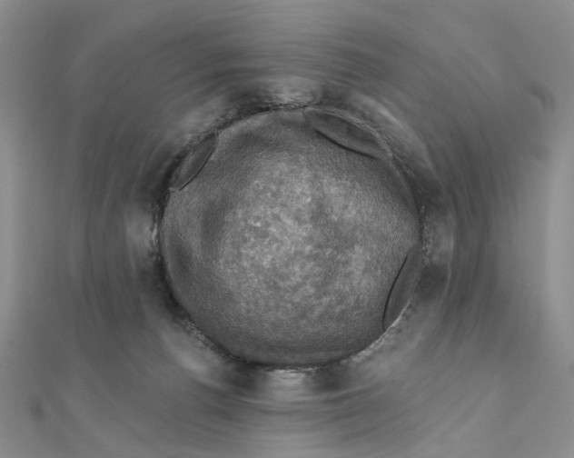 X0000111360176200908071200