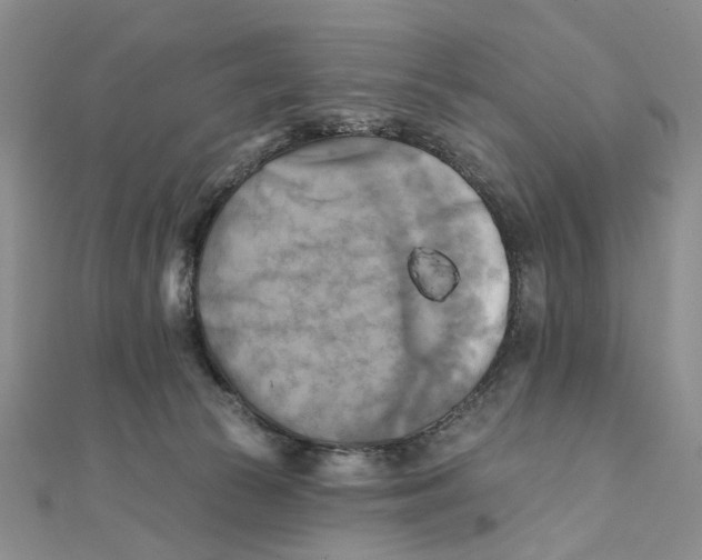 X0000111360177200908071200