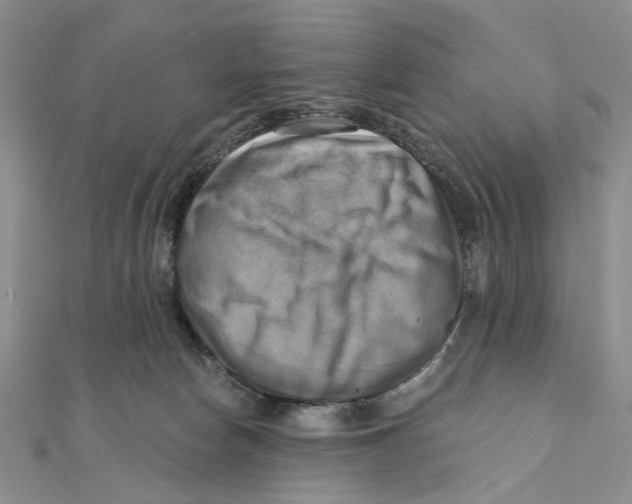 X0000111360178200908071200