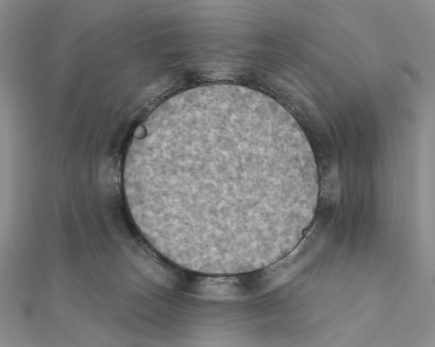 X0000111360179200908071200