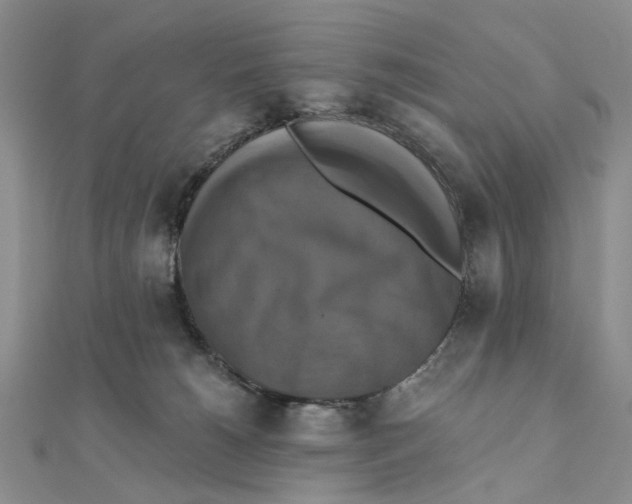 X0000111360180200908071200