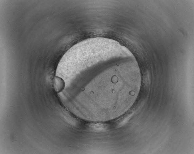 X0000111360181200908071200