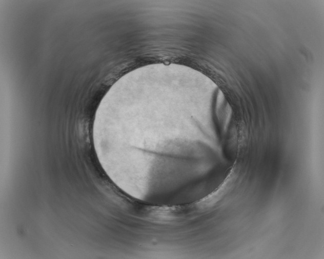 X0000111360182200908071200