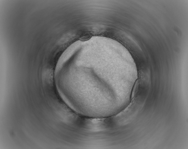 X0000111360184200908071200