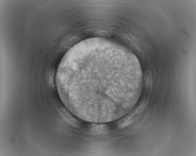 X0000111360185200908071200