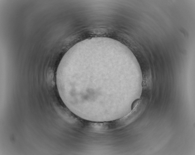 X0000111360187200908071200