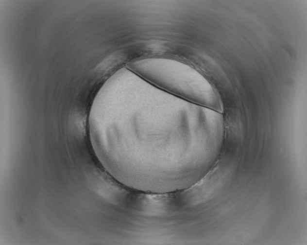 X0000111360188200908071200