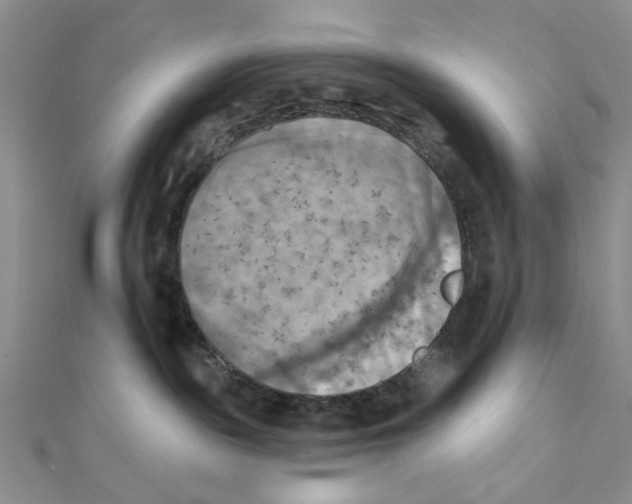 X0000111360189200908071200