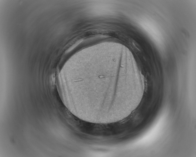 X0000111360190200908071200