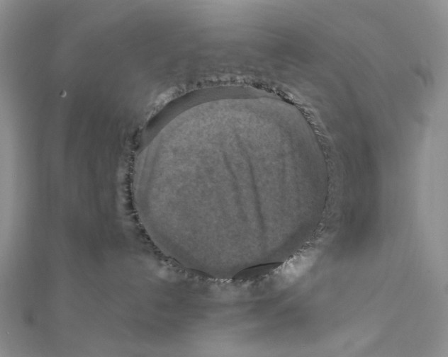 X0000111360192200908071200